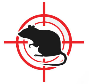 rodent control san diego