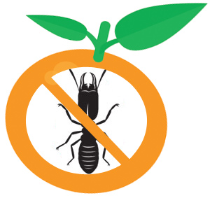 orange oil san diego termite control