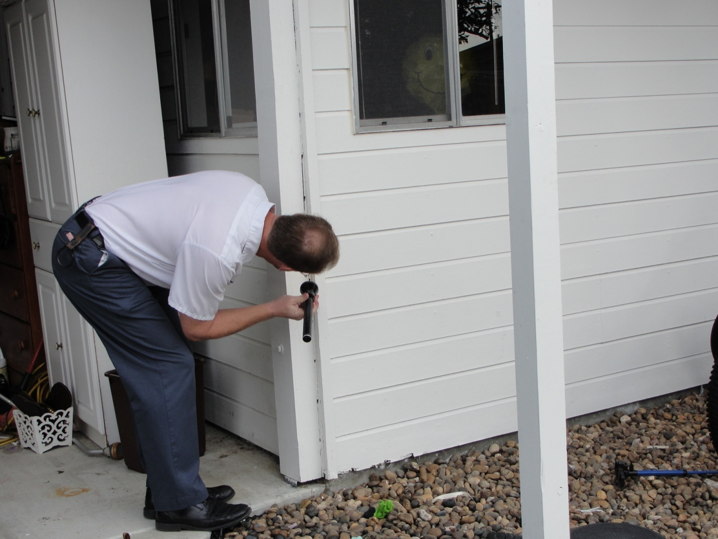Licensed technician inspecting termite damage in a wall cavity